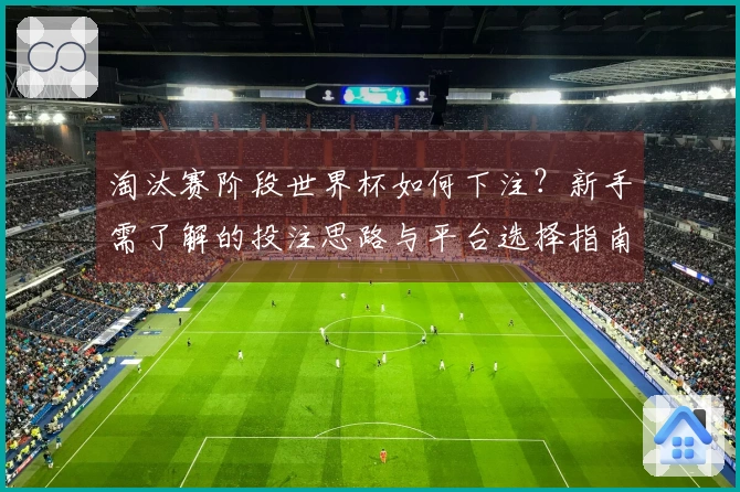 淘汰赛阶段世界杯如何下注？新手需了解的投注思路与平台选择指南